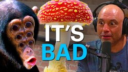 The Stoned Ape Theory is bad Instructional Video