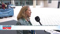 Europe's energy crisis: EU divided over response to soaring, 'unbearable' prices News Clip