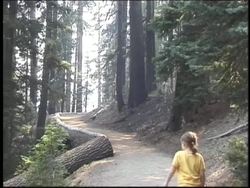 People and the Environment: Renewable Resources Instructional Video