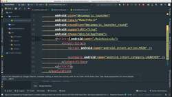 Comprehensive Android Developer Bootcamp - The Manifest File Instructional Video