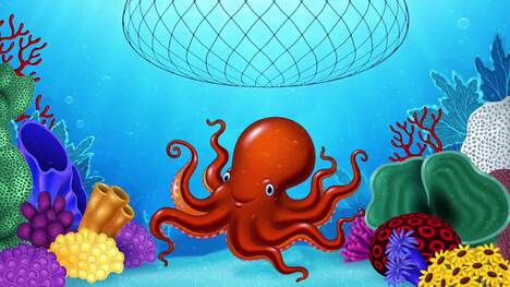 The Remarkable Intelligence of Octopuses