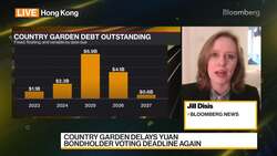 Country Garden Delays Yuan Bondholder Voting Deadline Again News Clip