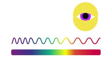 BIOLOGY - Physiology - Eye and four vision problems