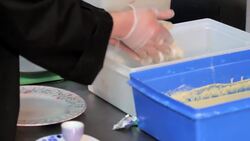 How to Deep-Fry a Cadbury Egg Instructional Video