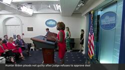 Hunter Biden plea deal falls through News Clip