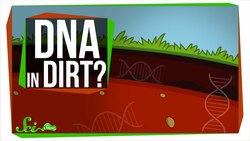 Is There DNA in Dirt? Instructional Video