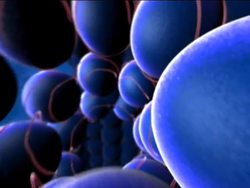 Traits and Heredity: Dna Instructional Video