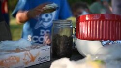 CLEAN : Bon appetit! DC chef cooks cicada sushi after billion-bug invasion News Clip