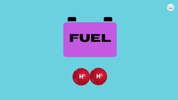 Can We Really Build Cars That Run Only On Water? Instructional Video