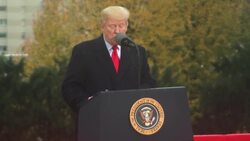 Trump pays tribute to fallen soldiers in speech at Suresnes American Cemetery Instructional Video