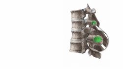 Costovertebral joints Instructional Video