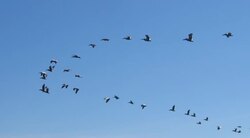 Off Kilter Instructional Video