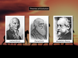 Theories of Evolution Instructional Video