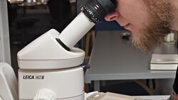 Understanding the Butcher's Tongue Illusion Instructional Video