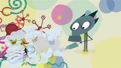 The Can Instructional Video