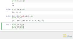 Lists and Tuples Instructional Video