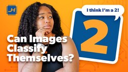 Can Images Classify Themselves? | Self-Organization and Neural Cellular Automata Instructional Video