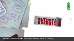 Former army nurse pleads with Ottawa to fast-track Afghan interpreter's immigration News Clip