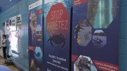 14-year-old from Change Islands named N.L.’s first Ocean Hero of the Year News Clip