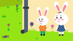 Itsy Bitsy Spider Instructional Video