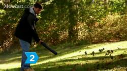 How to Rake Autumn Leaves Instructional Video