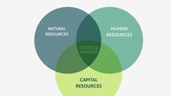 Three Types of Economic Resources Instructional Video