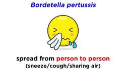 Whooping Cough Bordetella pertussis Instructional Video