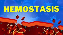 Hemostasis | How We Stop Bleeding Instructional Video