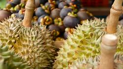 Mixed season tropical sweet juicy Fruits, local Thailand market. Large Monthong Durian, hard skin covered in sharp points and Mangosteen, King and Queen, most delicious antioxidant fresh exotic fruits Stock Footage