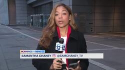 NYPD: 15-year-old girl linked to fatal stabbing in Soundview to appear in court News Clip