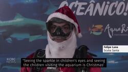 Santa makes a splash in Brazil News Clip