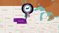 William Jennings Bryan Instructional Video