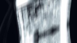 How Igloos Turn Snow into Toasty Havens Instructional Video