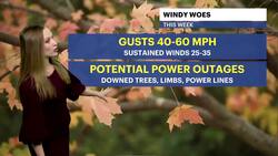 WIND ALERT: Partly sunny and mild before high winds arrive tonight in Brooklyn News Clip