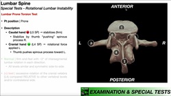 Prone Torsion Test for Lumbar Instability | Rationale & Interpretation Instructional Video