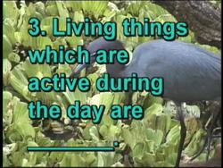 Natural Cycles: Video Quiz Instructional Video