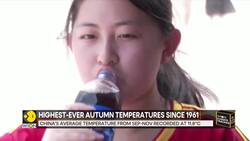 China Records Highest-Ever Autumn Temperatures At 11.8°C News Clip