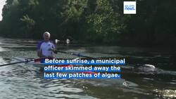 Parisians take a historic plunge into the River Seine after more than a century News Clip
