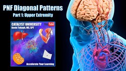 Upper Extremity PNF Diagonal Patterns EXPLAINED Instructional Video