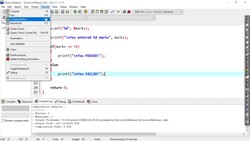 if-else Statements Instructional Video