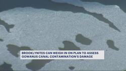 Officials draft additional plan to assess harm to natural resources in Gowanus Canal News Clip