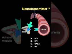 Testing ANS #shorts (Part E Instructional Video