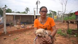 Paraguayan makes wheelchairs for dogs and cats Instructional Video