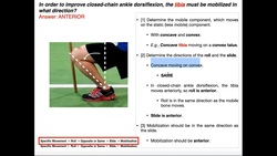 Concave/Convex Rules | How to Mobilize a Joint [Part 3] Instructional Video