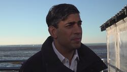 Rishi Sunak plays down election 'wipe out' poll findings News Clip