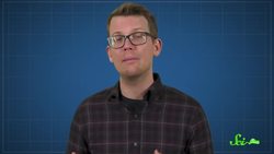 Why Animals Take Care of Other Animals' Young Instructional Video