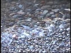 Rocks and the Rock Cycle: Weathering and Erosion Instructional Video