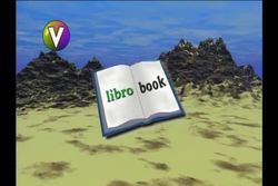 Spanish: Grammar and Negative Statements Instructional Video