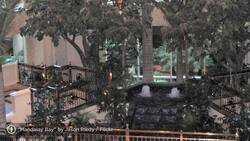 What Are the Highlights of the Mandalay Bay Las Vegas? Instructional Video