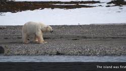 Norway, Spitsbergen, Svalbard Archipelago Stock Footage
